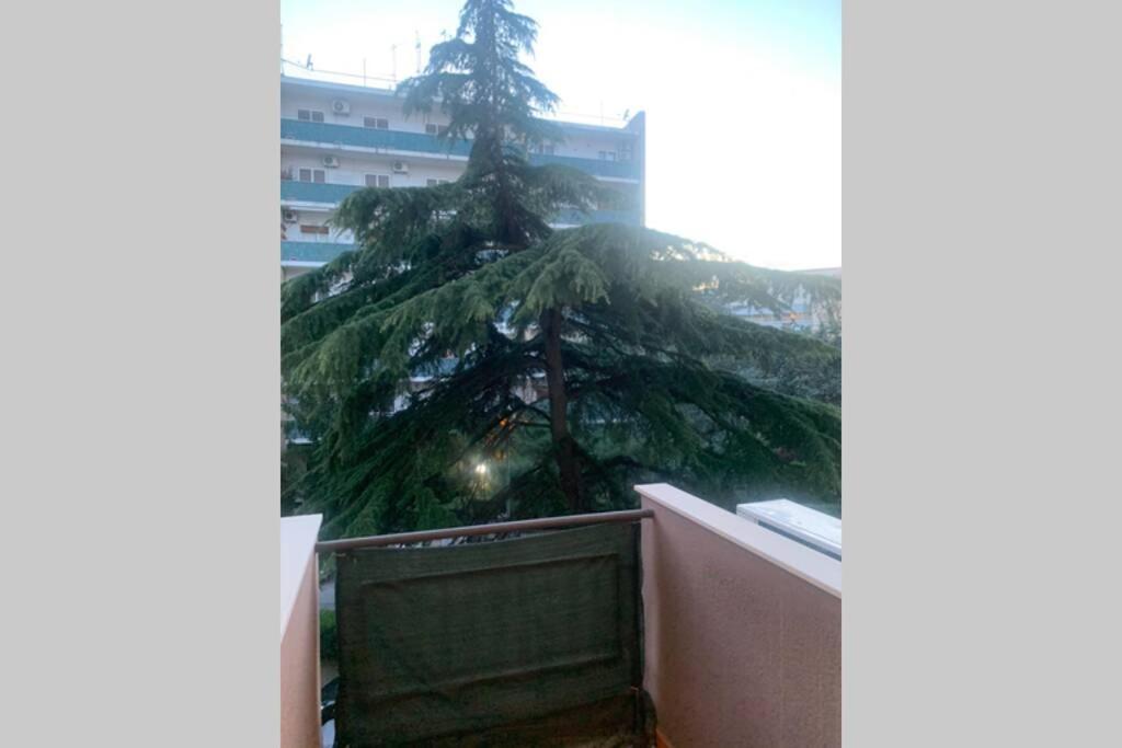 Residenza Giovanni Paolo Secondo- Casa Sull'Albero Bari Extérieur photo